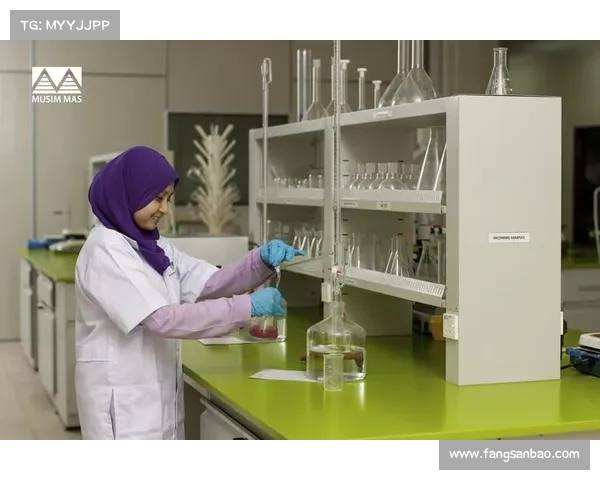 mas是哪里赛事_MAS赛事举办地点大揭秘全面解析所在城市背景 mas是哪里赛事_MAS赛事举办地点大揭秘全面解析所在城市背景